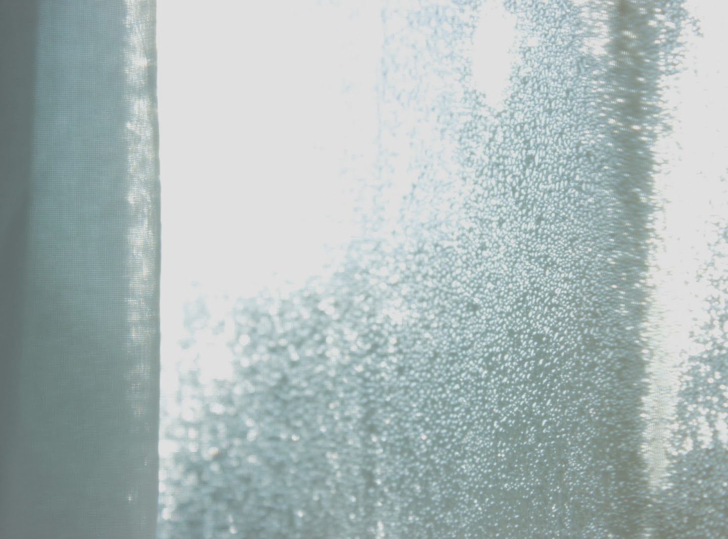 Lesson On Early Feminism