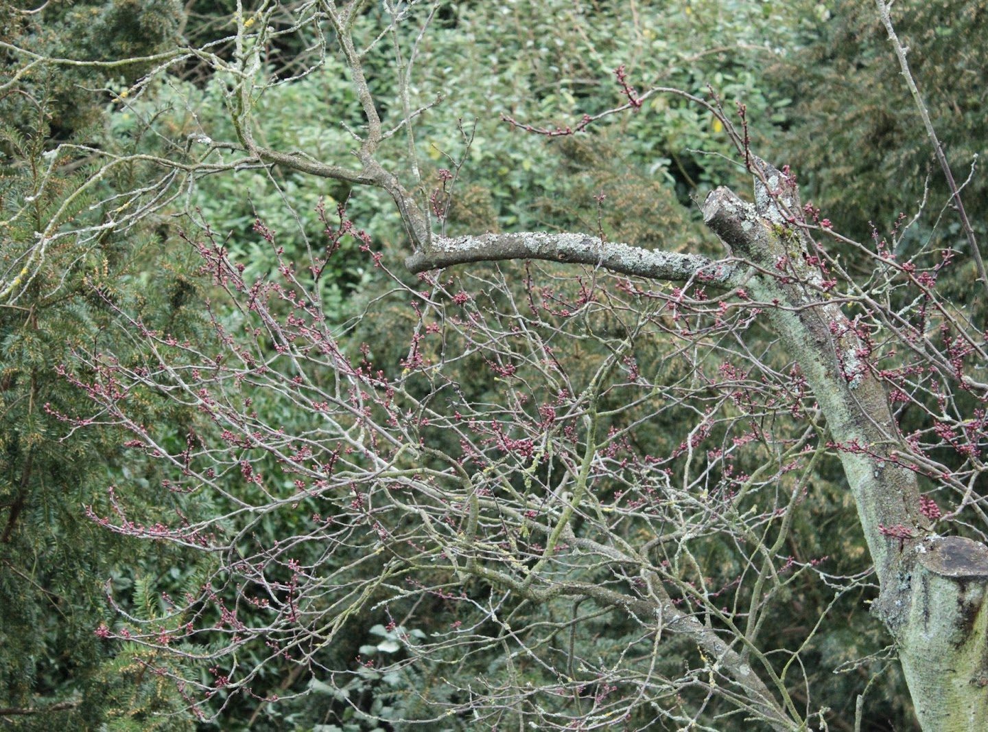 Death behold, Funerals on hold!