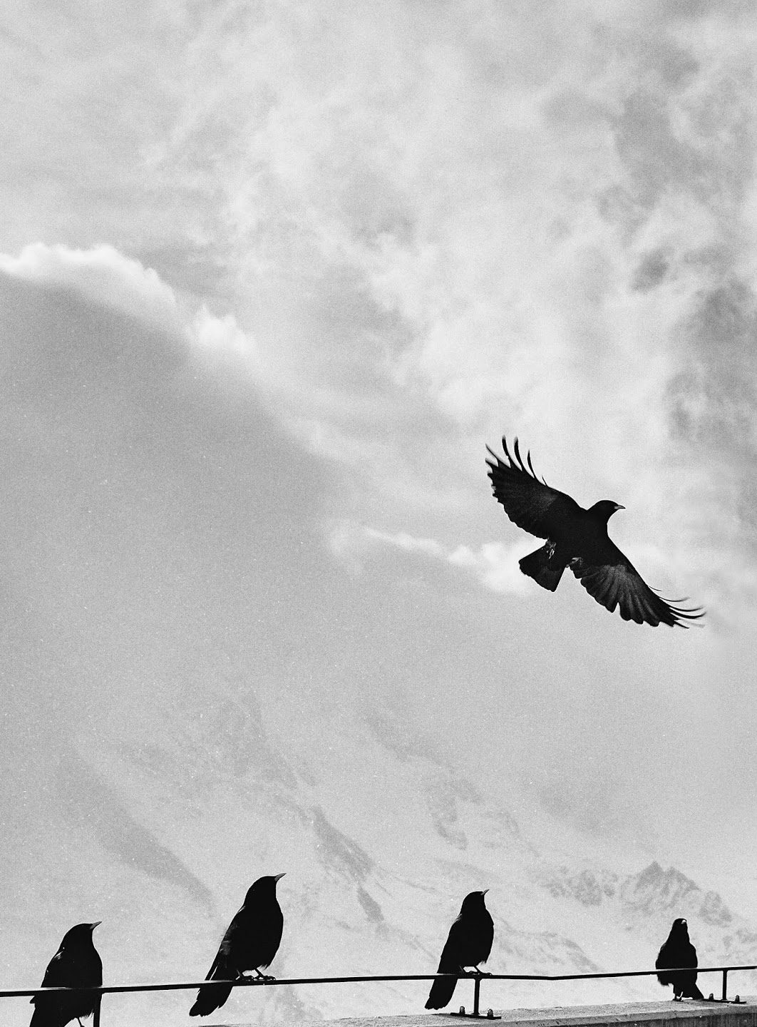 A mission almost incomprehensible