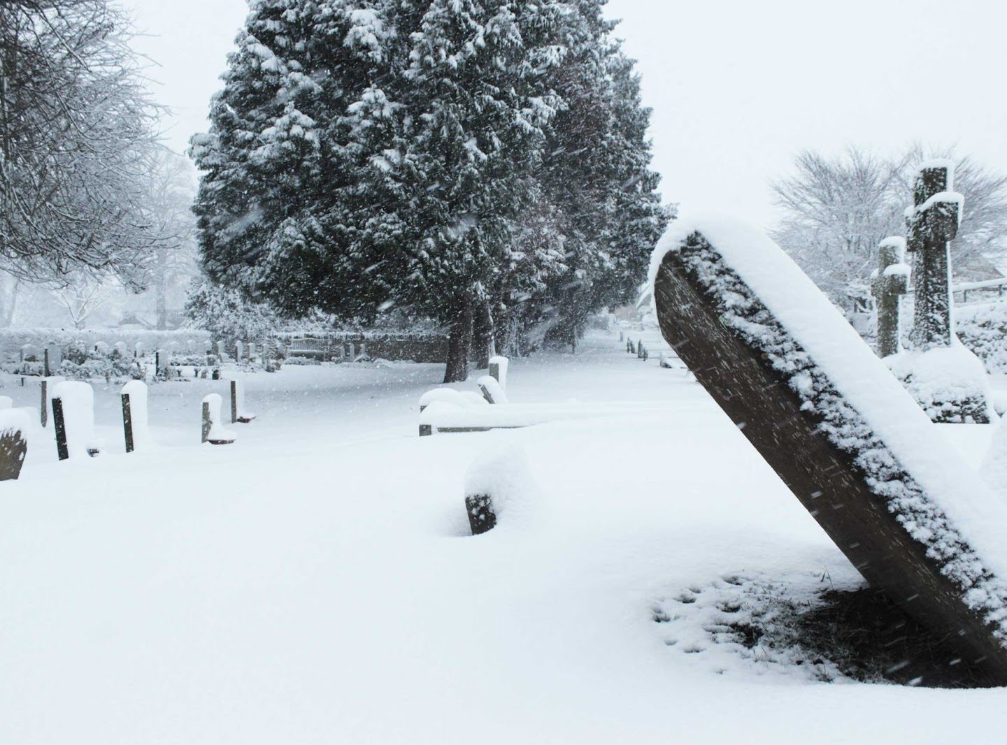 Reminiscence of the cold